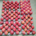 Top Quality of Chinese Fresh Red Qinguan Apple